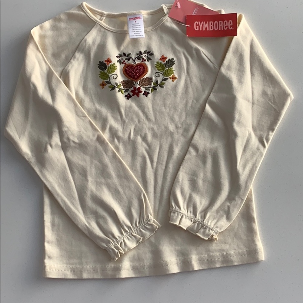 Gymboree embroidered long sleeve top. Size 6.